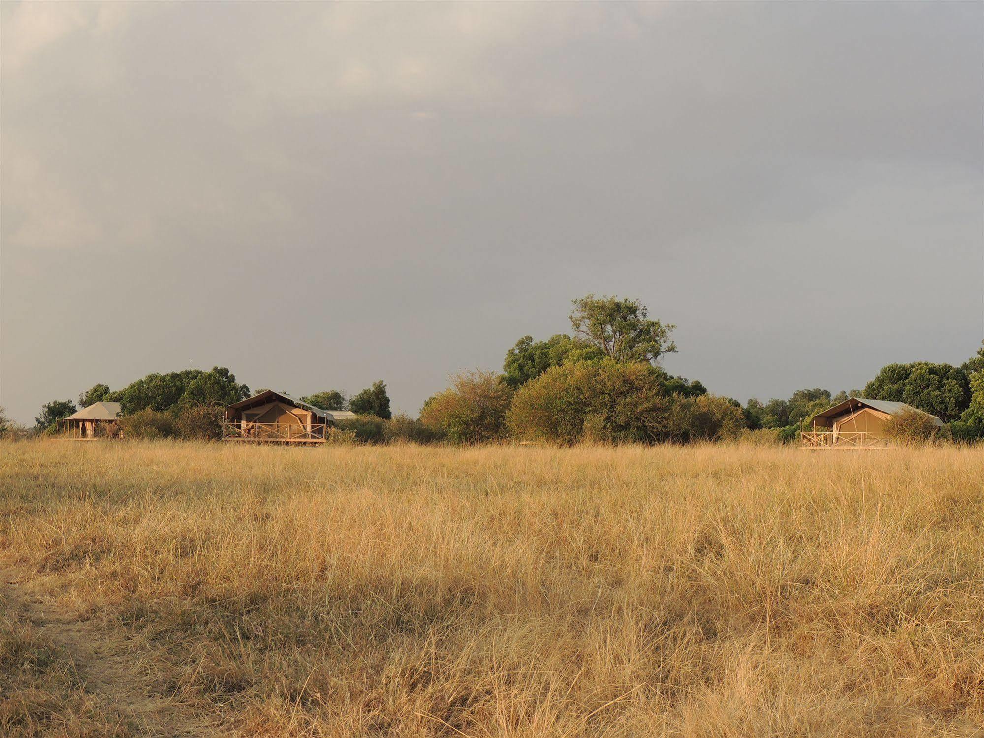 Loyk Mara Camp Hotel Talek Bagian luar foto