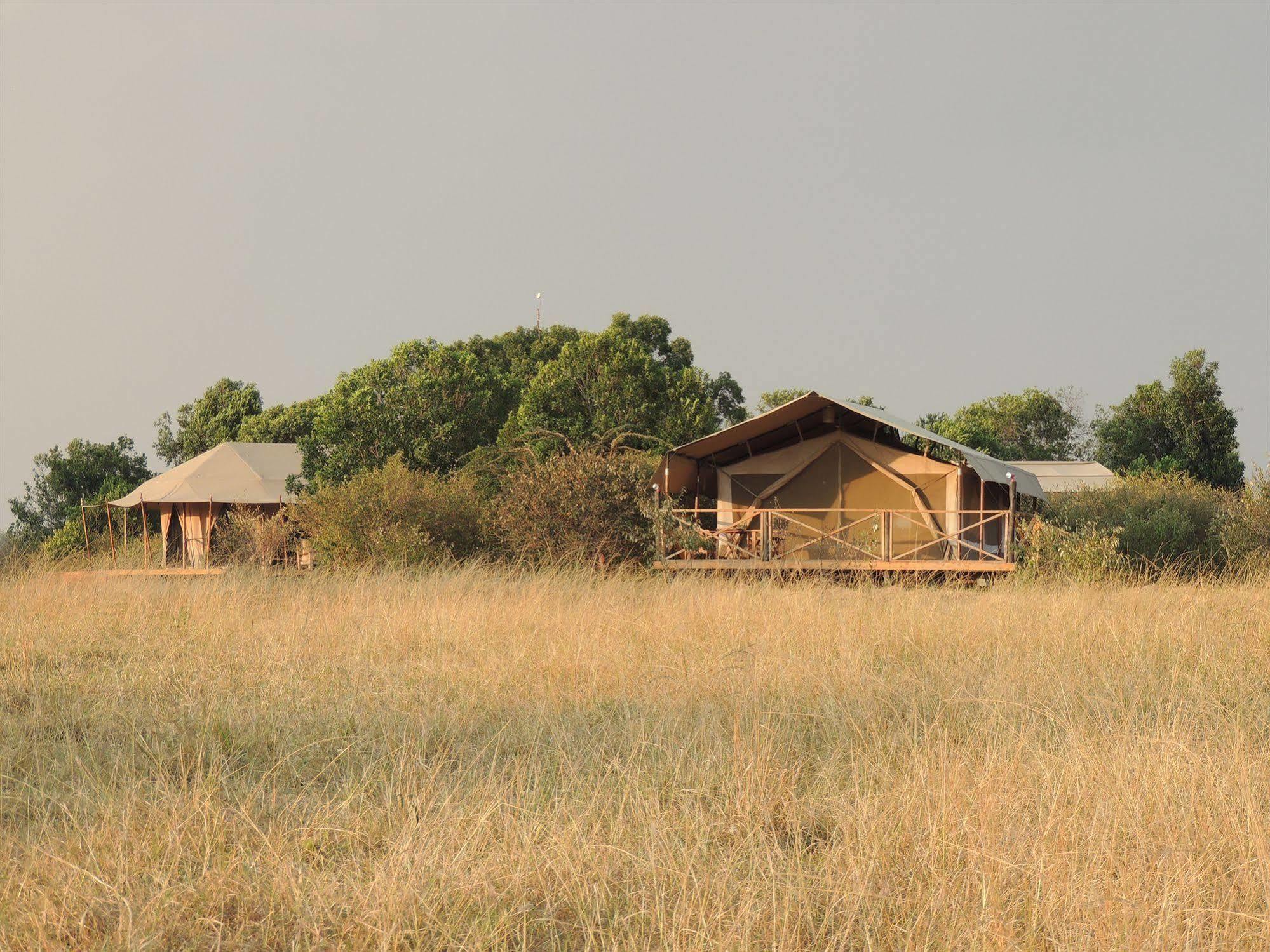 Loyk Mara Camp Hotel Talek Bagian luar foto